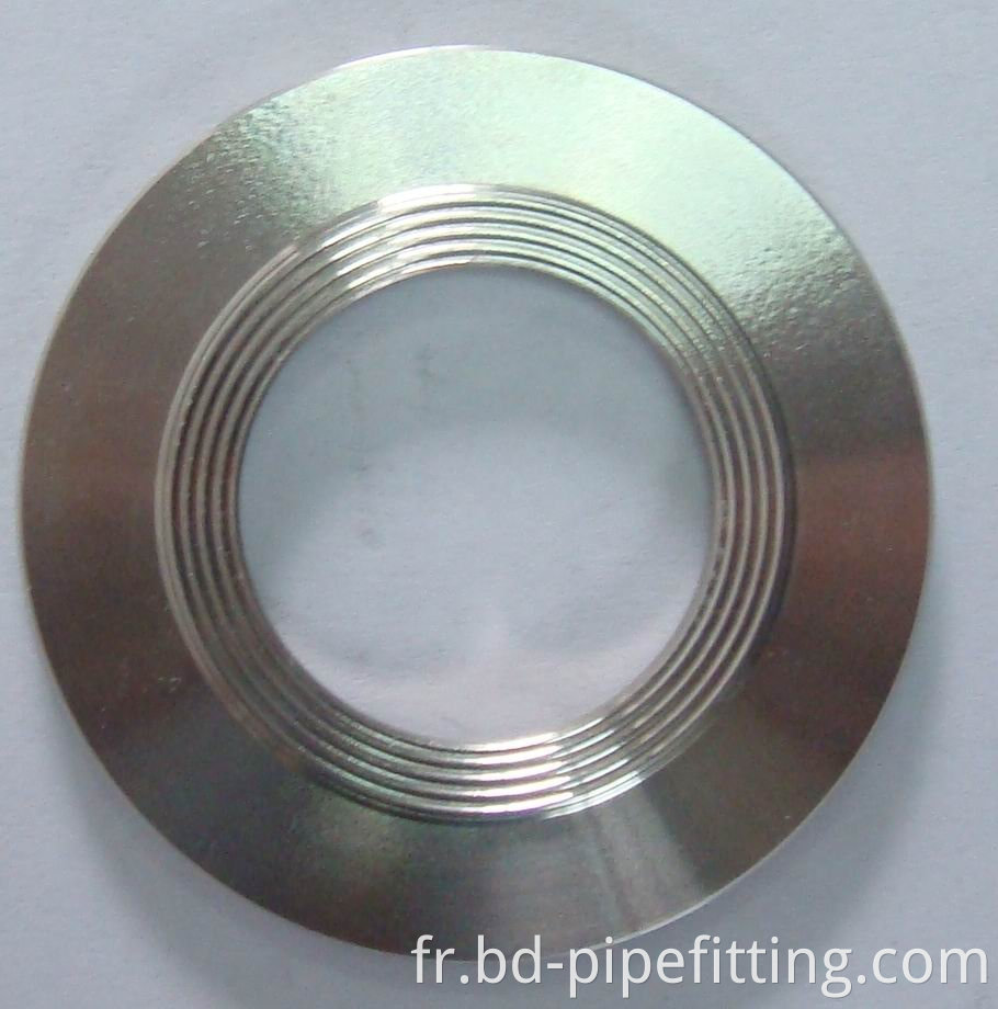 ASME B16.20 Metal Outer Ring and Inner Ring Spiral Wound Gasket